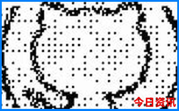 2024澳门天天开好彩大全免费